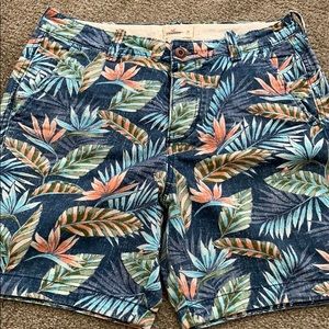 Men’s hollister shorts
